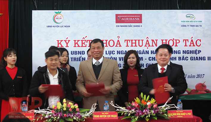 Ký thỏa thuận hợp tác giữa UBND huyện Lục Ngạn, Agribank Bắc Giang II và Công ty TNHH Gia To